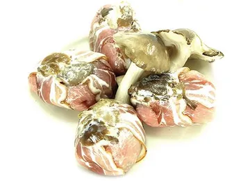 Mini relleno de setas